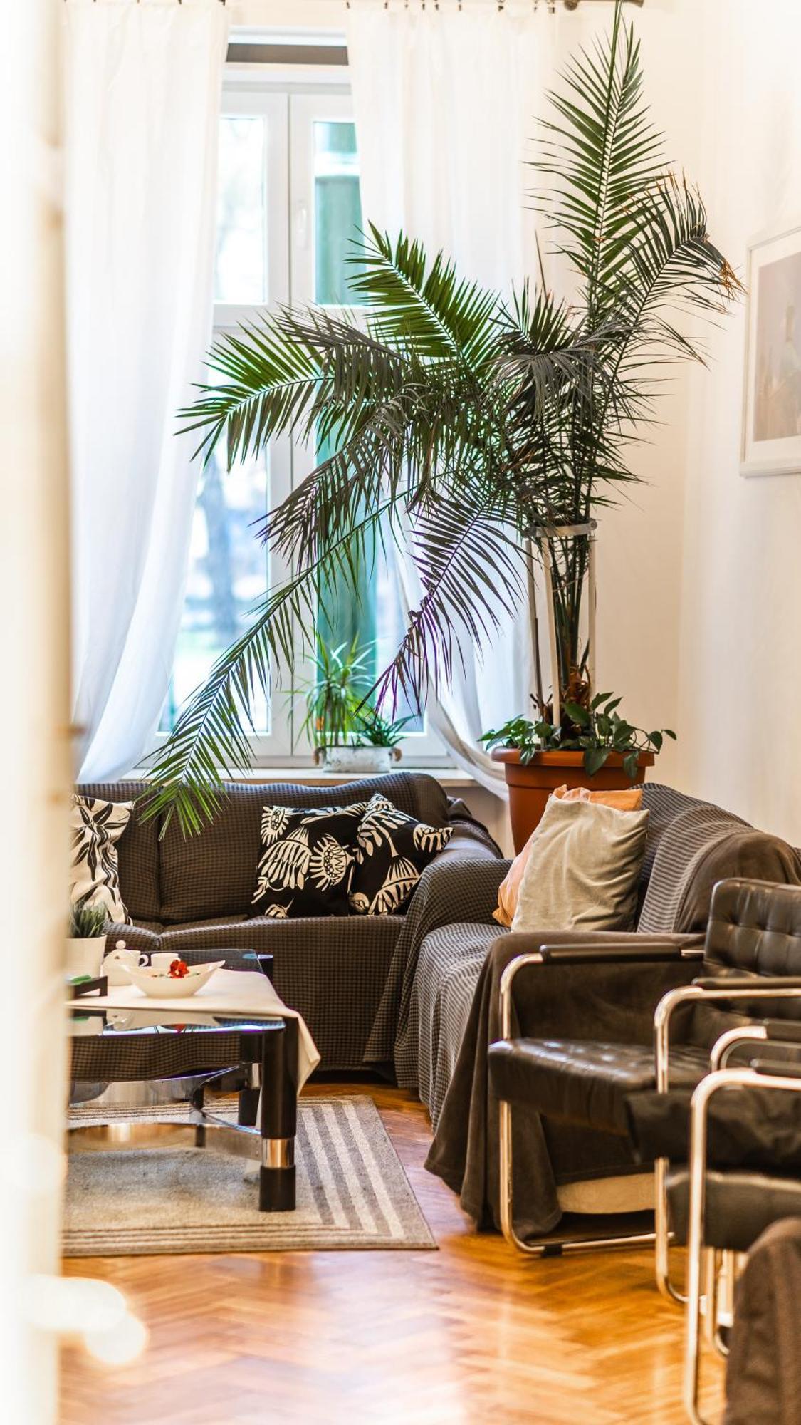 Fogra Travel Apartment Krakow Ngoại thất bức ảnh